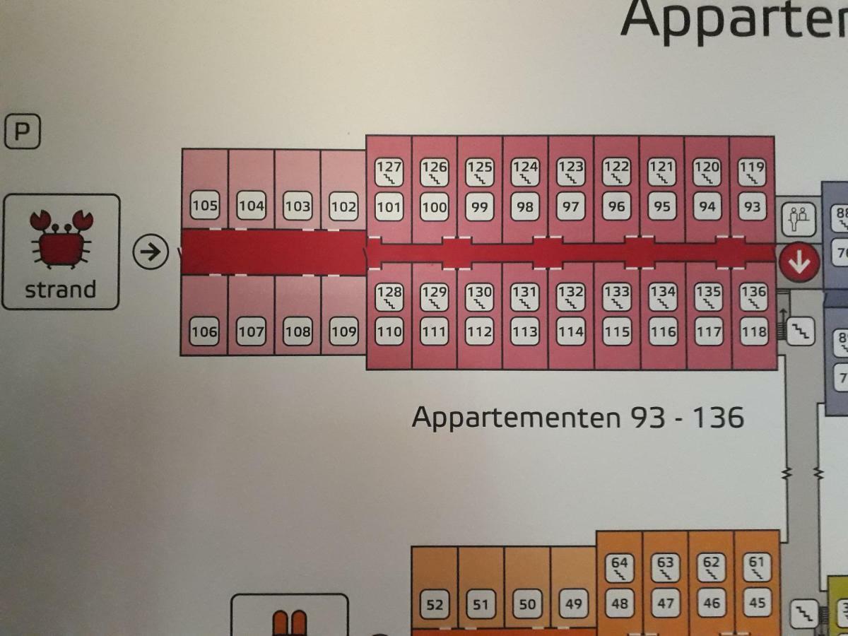 Zeebries In De Kaap 4 P Lägenhet Hollum  Exteriör bild
